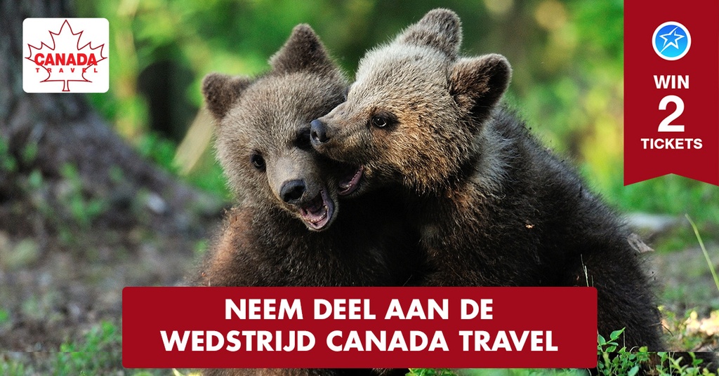Quiz concours Canada Travel