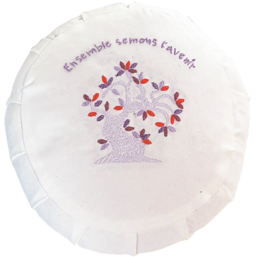 Mini-coussin : modèle Ensemble semons l'avenir